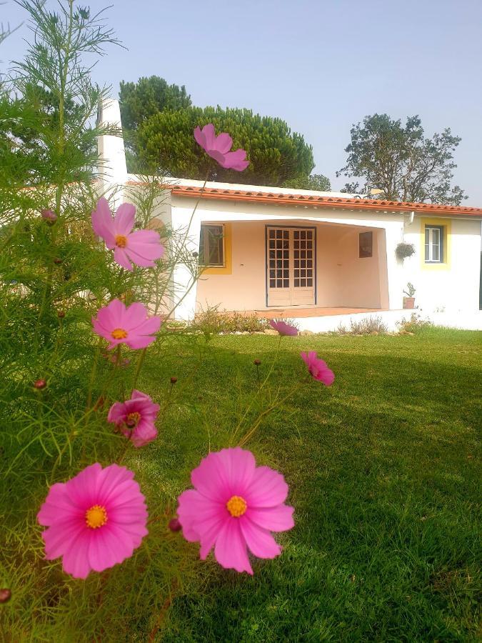 Sondela Self Catering Villa São Martinho do Porto Eksteriør bilde