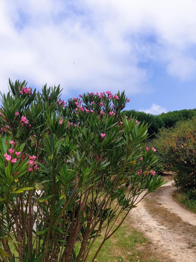 Sondela Self Catering Villa São Martinho do Porto Eksteriør bilde