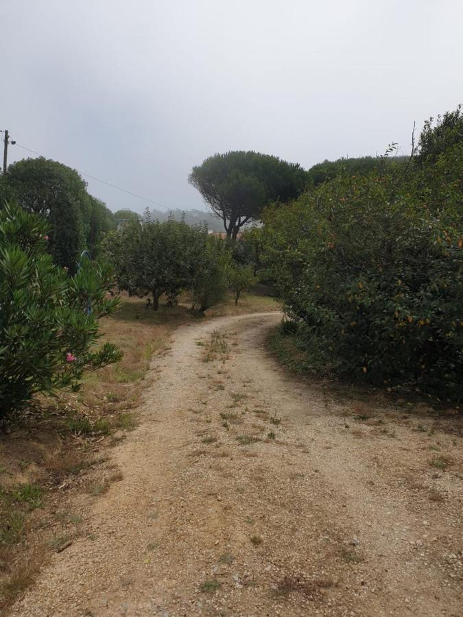 Sondela Self Catering Villa São Martinho do Porto Eksteriør bilde