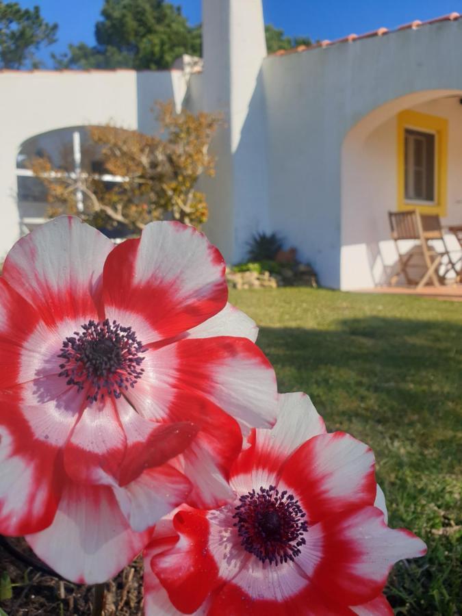 Sondela Self Catering Villa São Martinho do Porto Eksteriør bilde