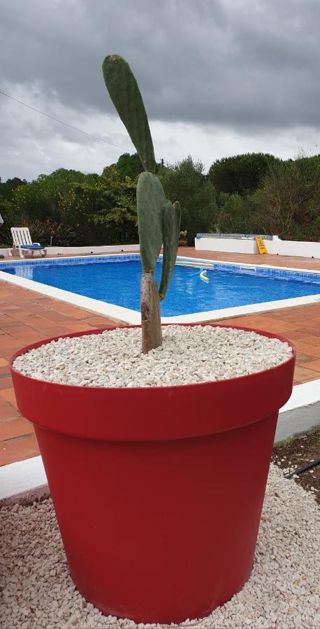 Sondela Self Catering Villa São Martinho do Porto Eksteriør bilde